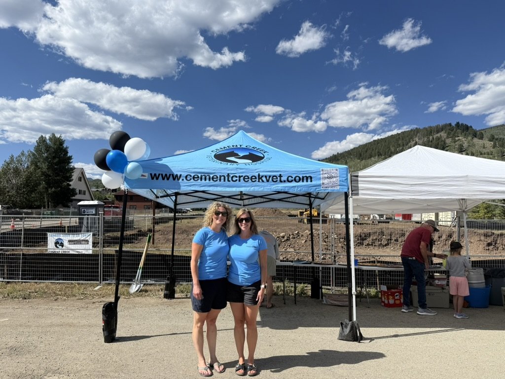 The Cement Creek Veterinary Hospital team